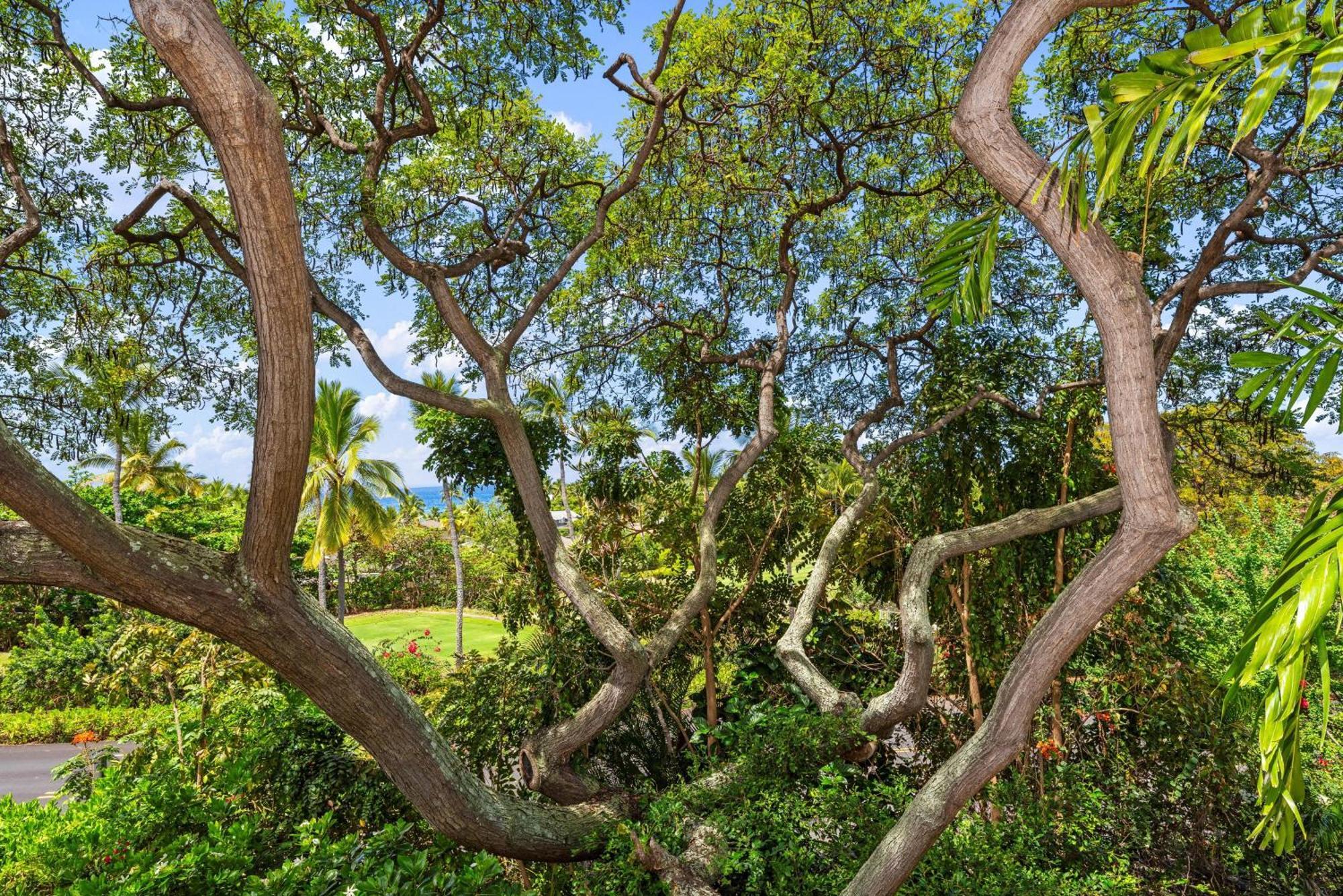 "Makani Moana" At Keauhou Resort #104, Entire Townhome Close To Kona 카일루아 코나 외부 사진